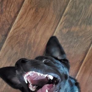 Meet your Posher, Vikkey